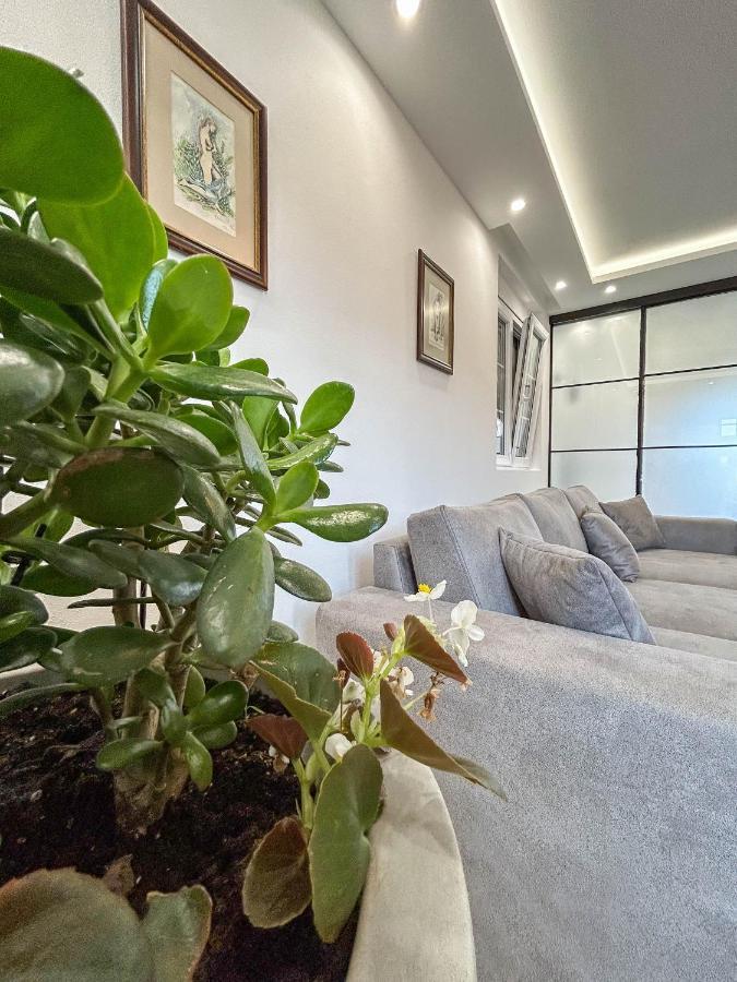 Sunrise Apartment Котор Екстериор снимка